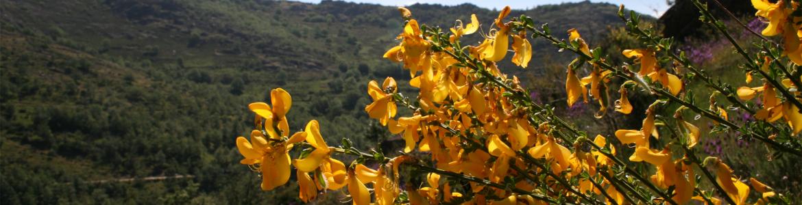 Actividades en espacios naturales