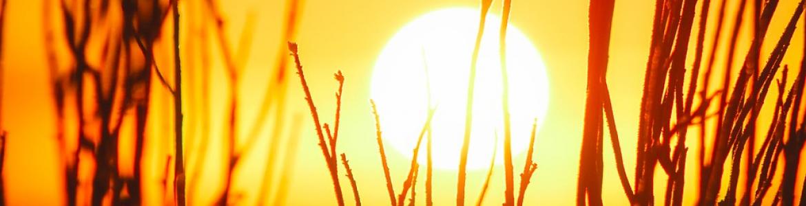 sol