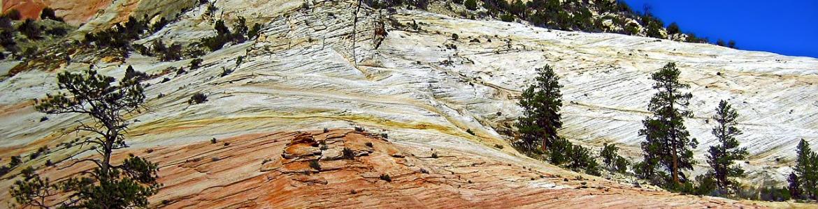 Foto parque nacional Zion