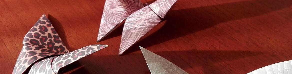 Imagen decorativa