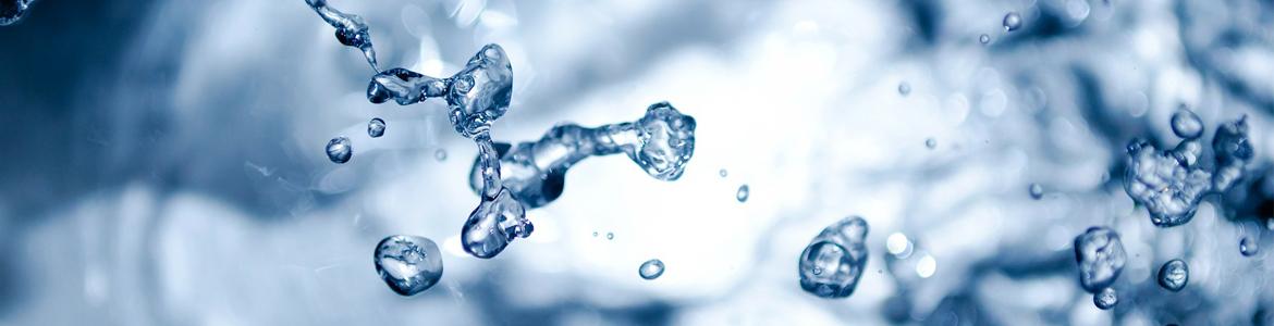 Agua Agua