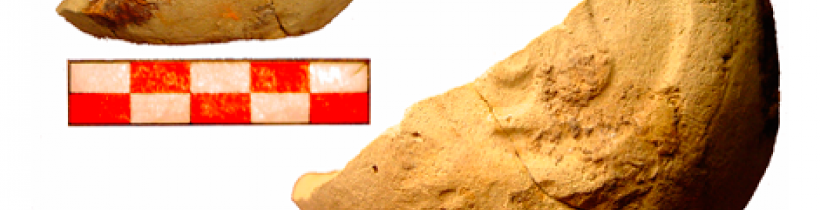 Yacimiento arqueológico de Titulcia