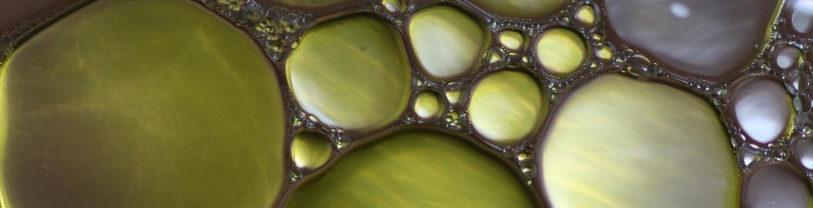 Aceite
