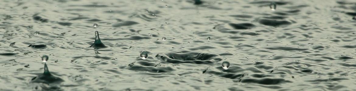 Lluvia y agua