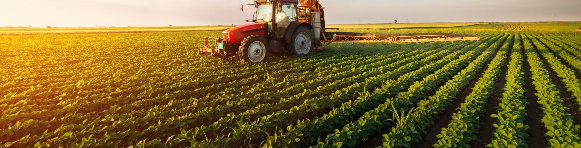 Campo tractor agricultura