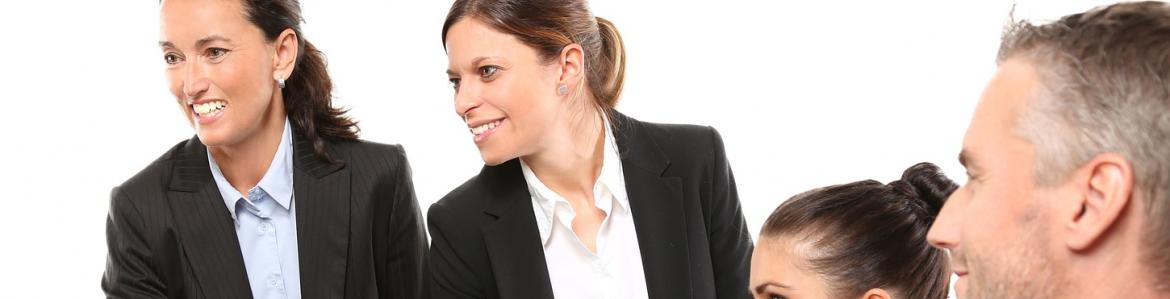 Inspectores