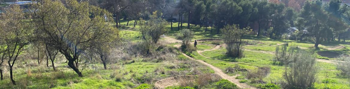 paisaje de árboles con un señor en primer plano trabajando la tierra, al fondo el perfil urbano de una ciudad