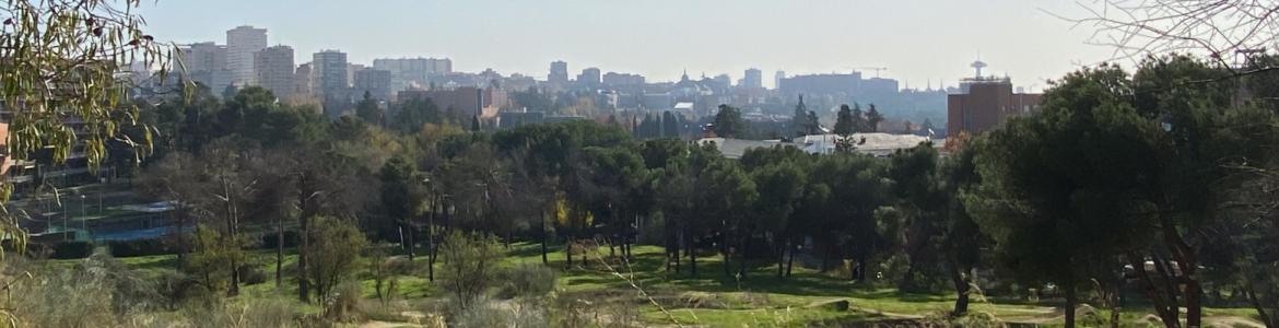 Dehesa de la Villa Imagen de un paisaje natural con perfil de la ciudad al fondo