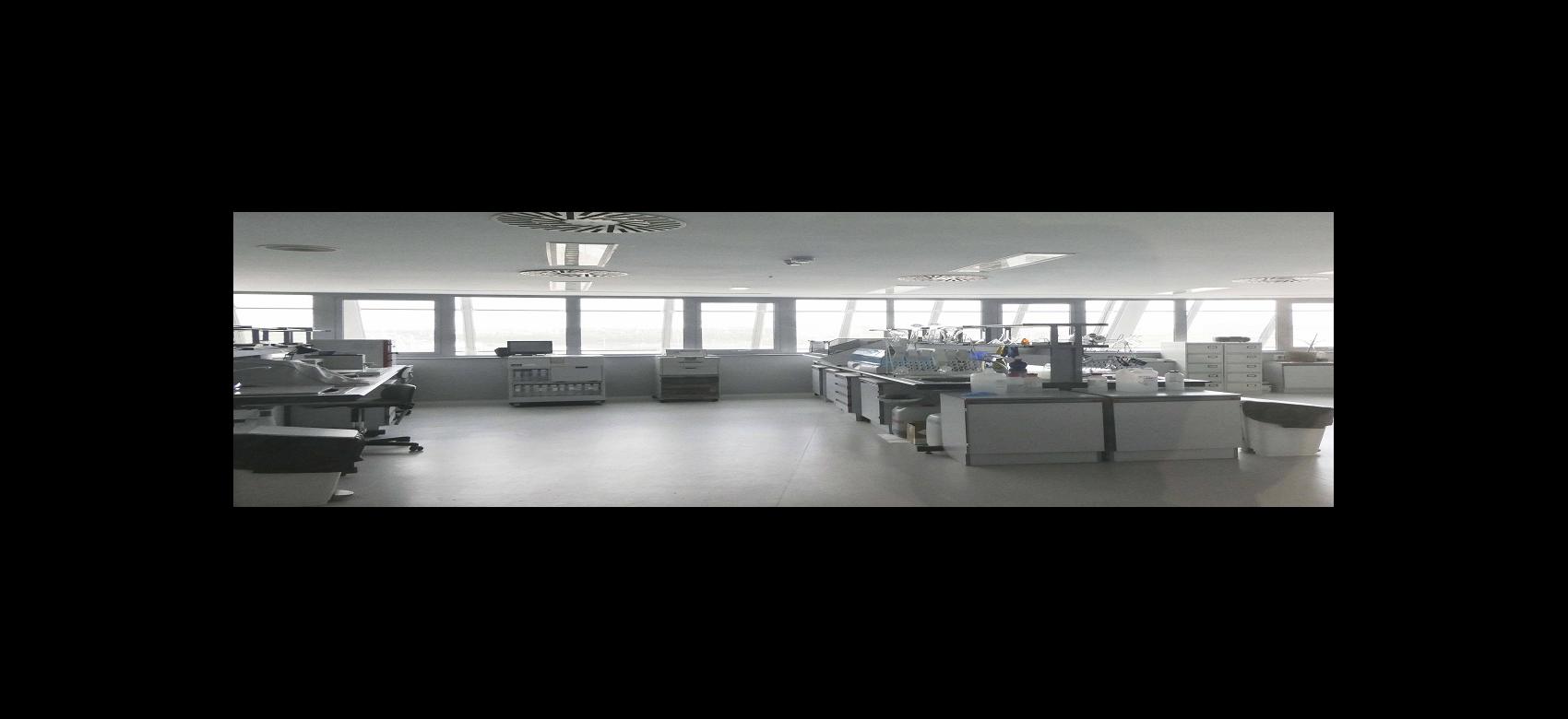 Área de trabajo IML