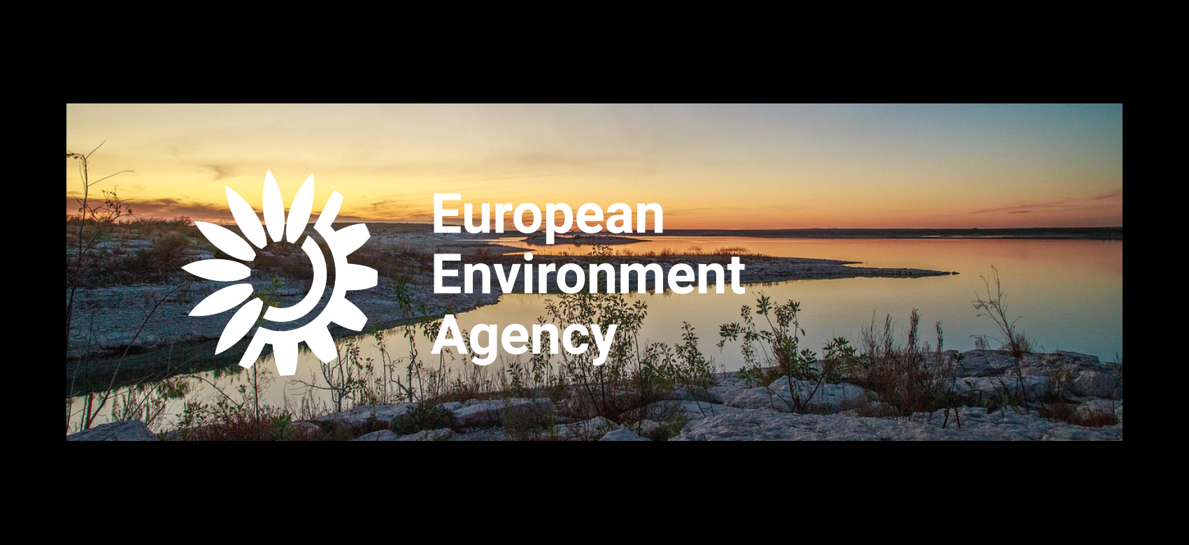 Imagen logo de la Aema
