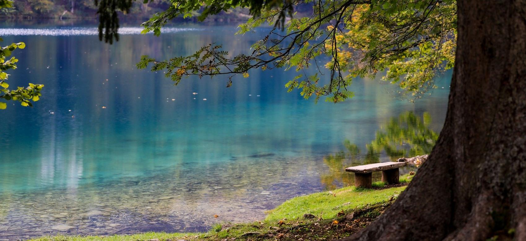 Lago azul desde la orilla con árboles en primer plano