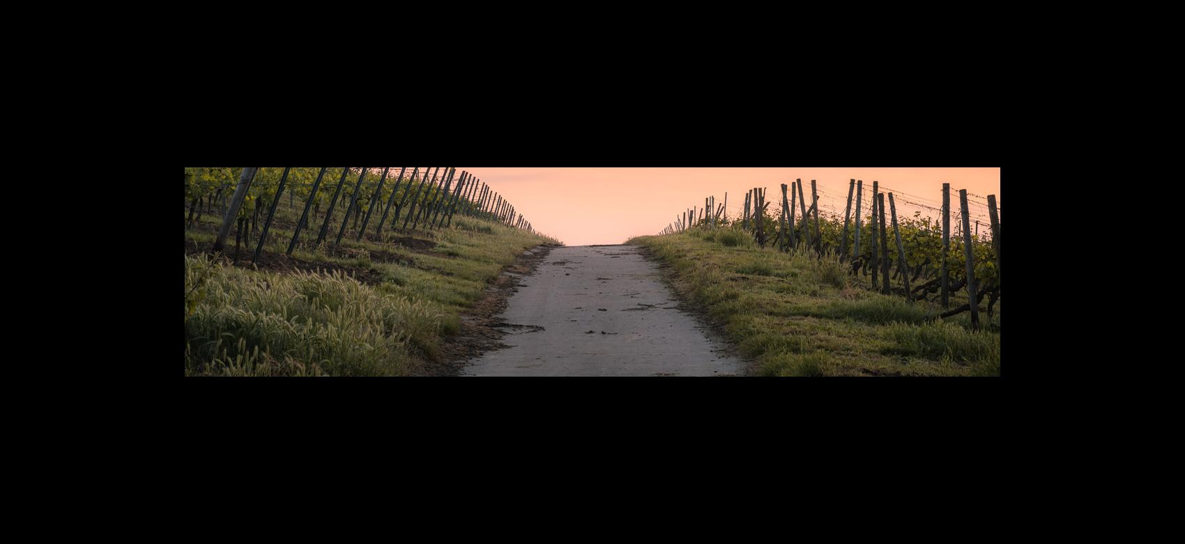 Imagen de un camino rural