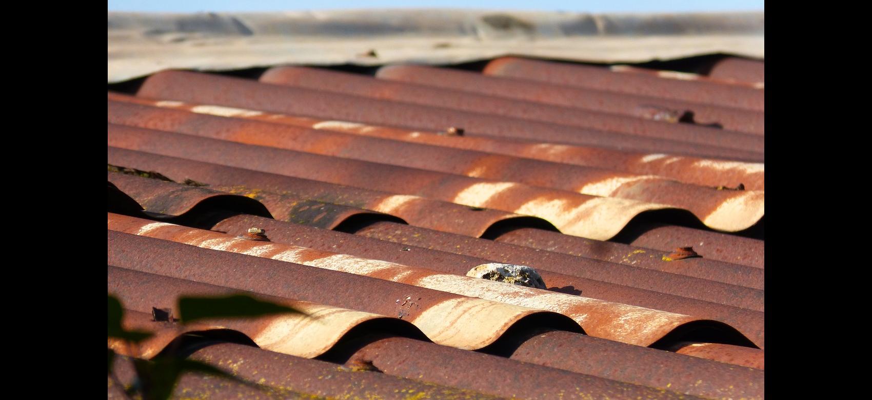 Registro de empresas en riesgo por amianto (RERA) Registro de empresas en riesgo por amianto (RERA)