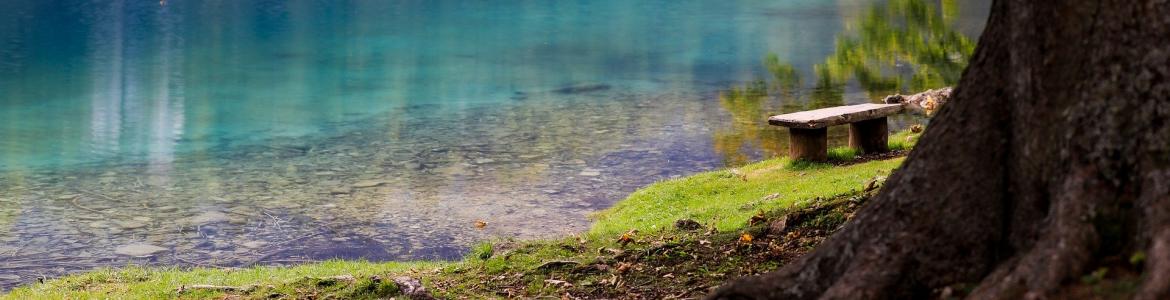 Zonas de baño Lago azul desde la orilla con árboles en primer plano