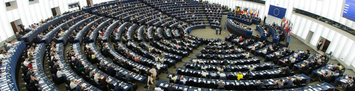 Hemiciclo del Parlamento Europeo en Estrasburgo. © European Union / Source: EC - Audiovisual Service Hemiciclo del Parlamento Europeo en Estrasburgo