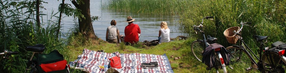 Platos preparados Imagen de una familia al borde de un lago en un picnic con platos preparados