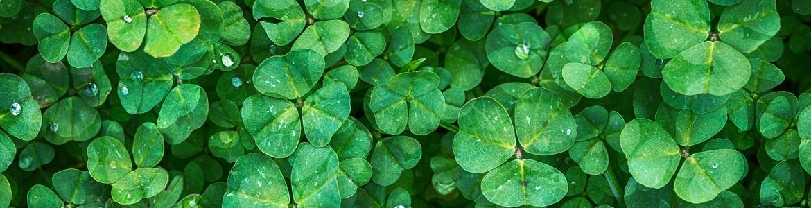 la naturaleza agradece el reciclaje de medicamentos
