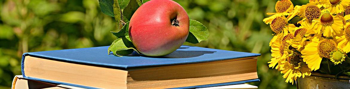 publicaciones conjuto de libros junto a una manzana y margaritas