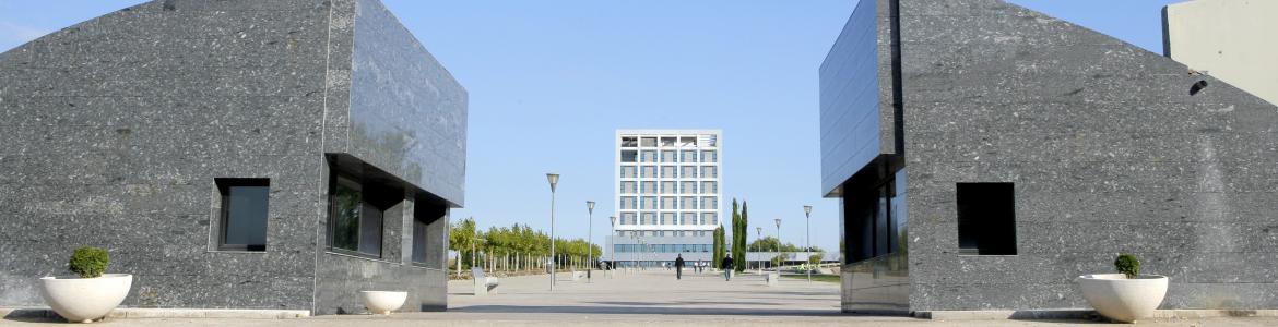 Universidad Rey Juan Carlos