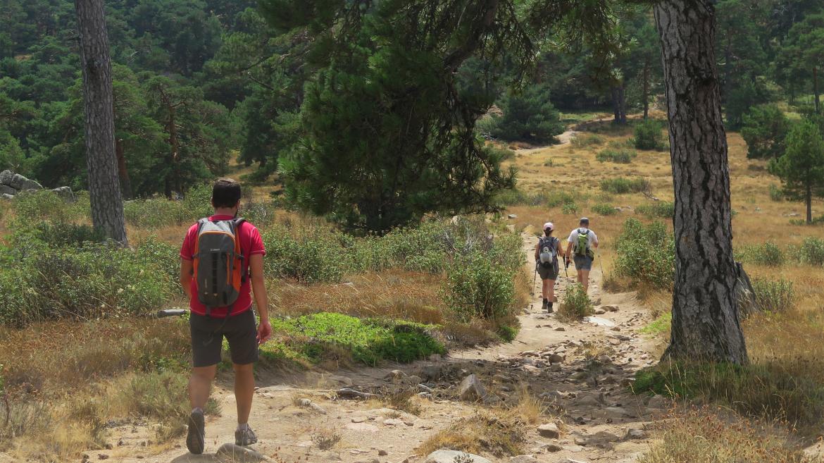 Rutas verdes de la Comunidad de Madrid