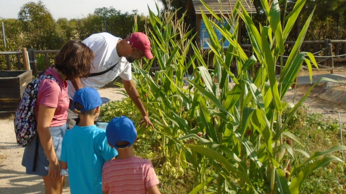 La Comunidad de Madrid forma a 600 alumnos de colegios e institutos sobre la importancia de conservar y proteger la flora autóctona