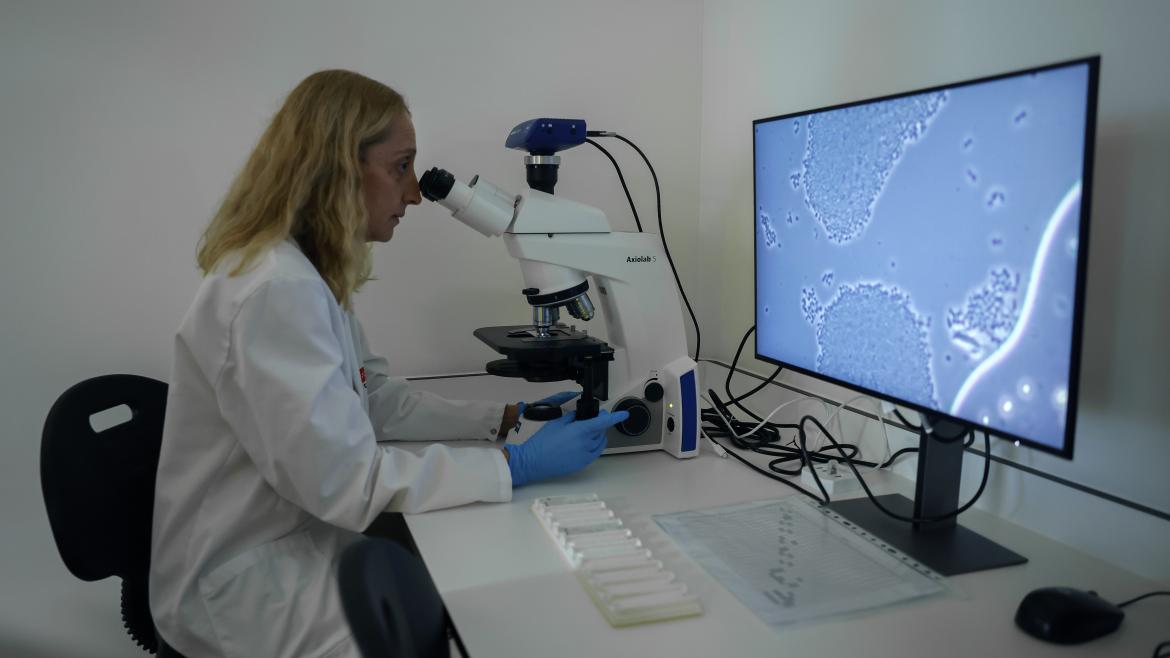 Startup biotecnológica