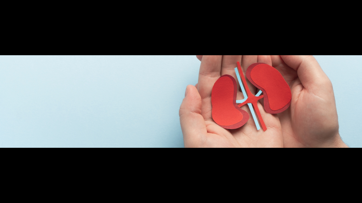 Las Direcciones Asistenciales Oeste, Centro y Sur celebran en octubre sus jornadas de sensibilización en enfermedad renal crónica foto de recurso renal