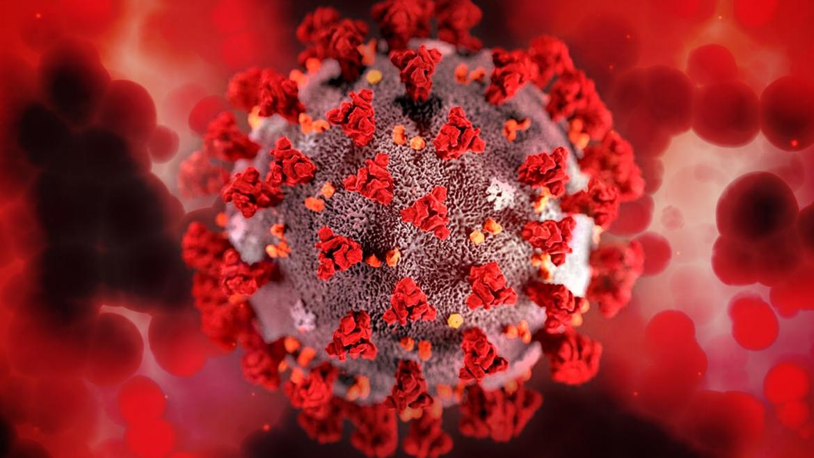 El estudio ha sido publicado en la revista 'Frontiers In Medicine' Imagen del virus SARS-CoV-2