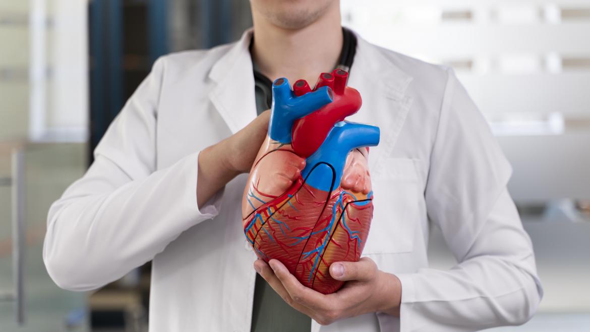 VI Reunión Internacional sobre Angioplastia con Balones Farmacoactivos