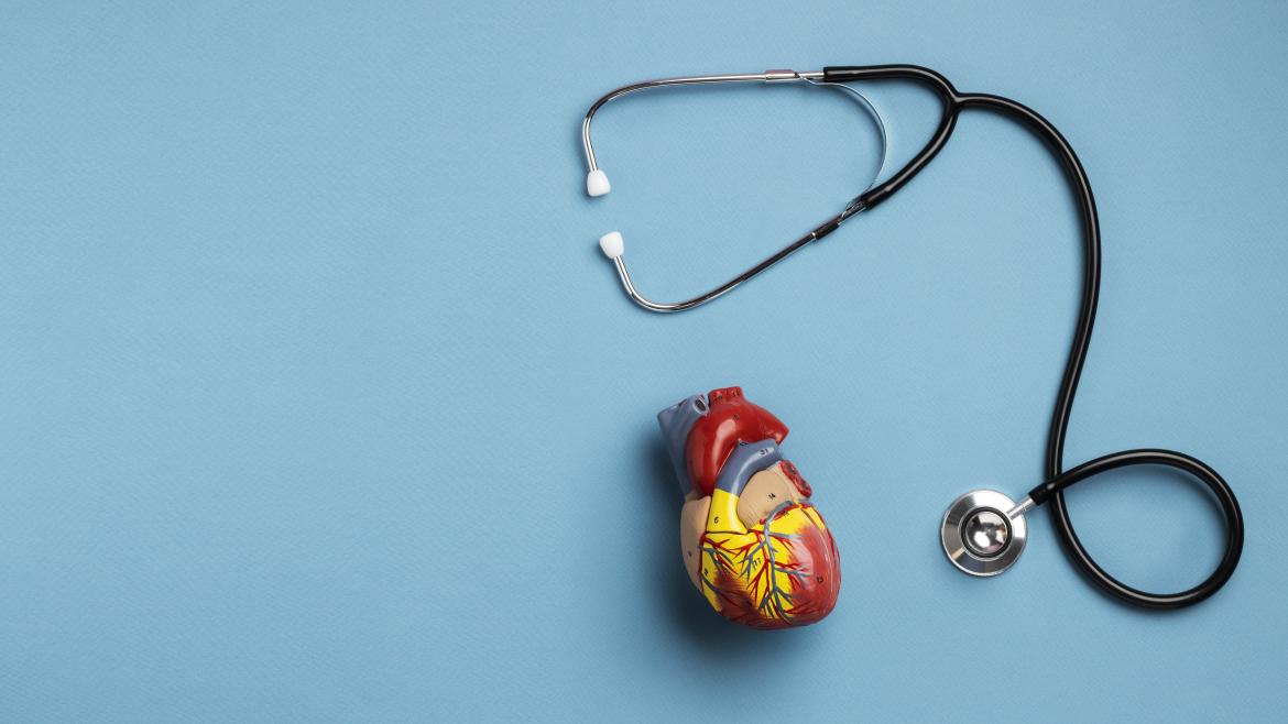 Jornada Cardiología y Atención Primaria Hospital de La Princesa