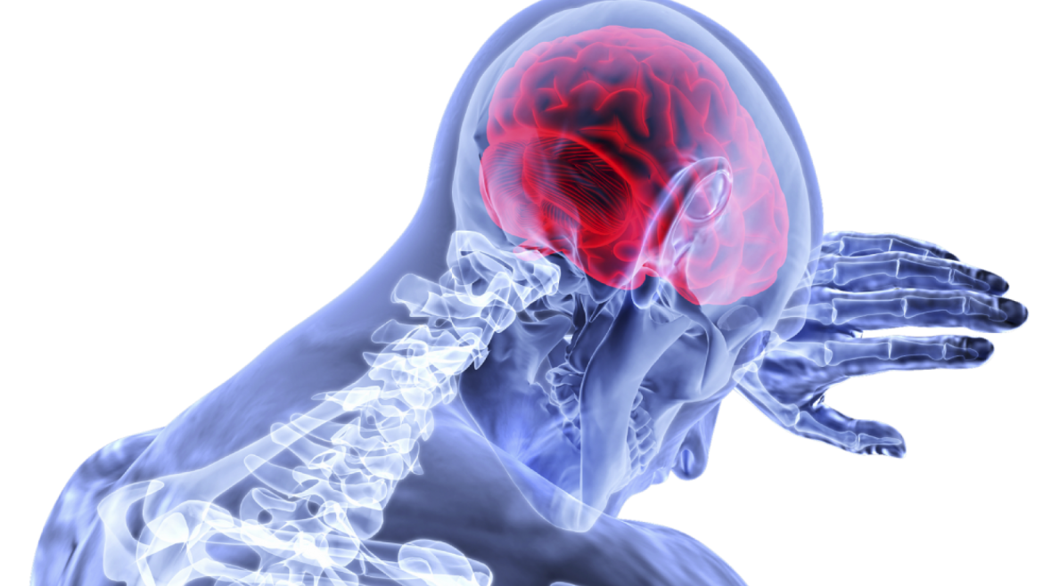 Esclerosis lateral amiotrófica El cerebro en la ELA