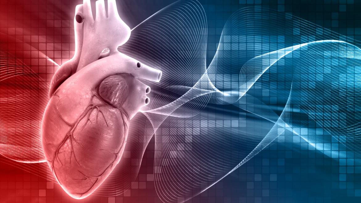 Consulta monográfica de Cardiopatías Familiares Hospital de La Princesa
