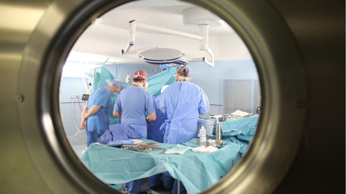 El curso contó con la realización de procedimientos bariátricos y endoscópicos en directo El curso contó con procedimientos bariátricos y endoscópicos en directo