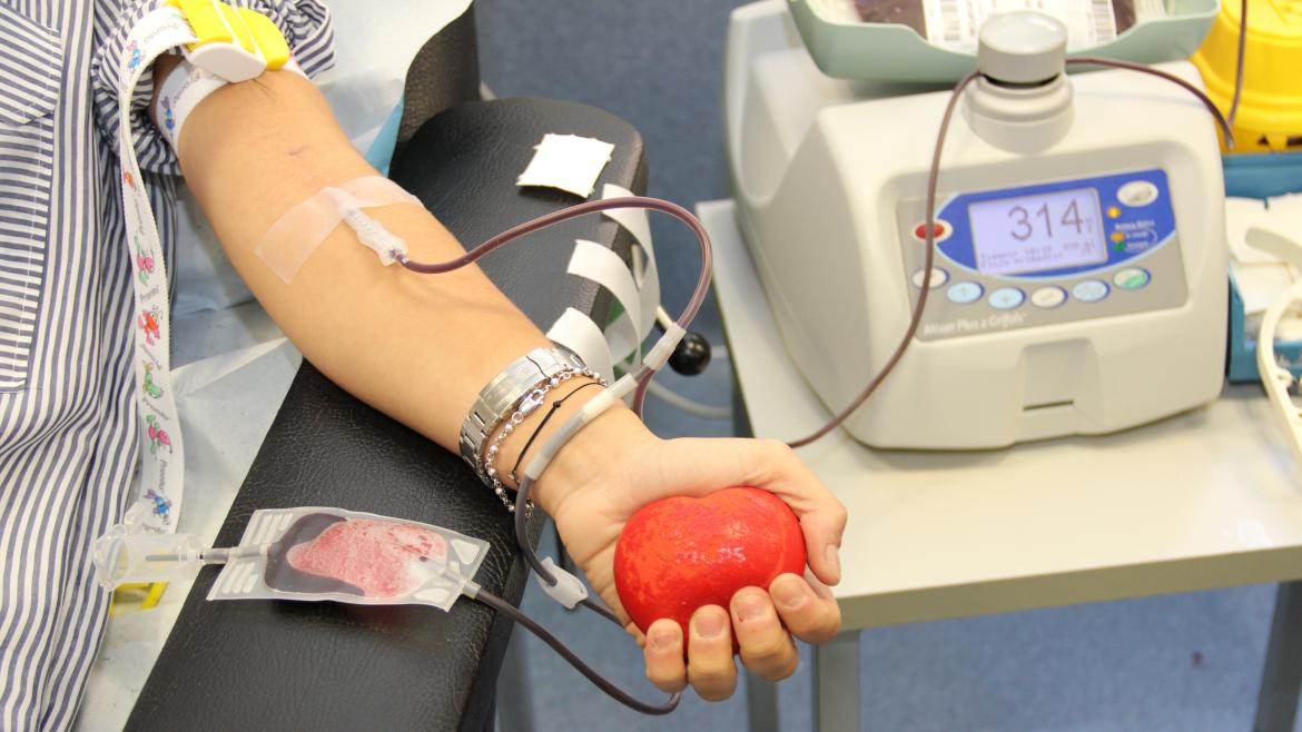 IMAGEN PROFESIONAL DONANDO SANGRE
