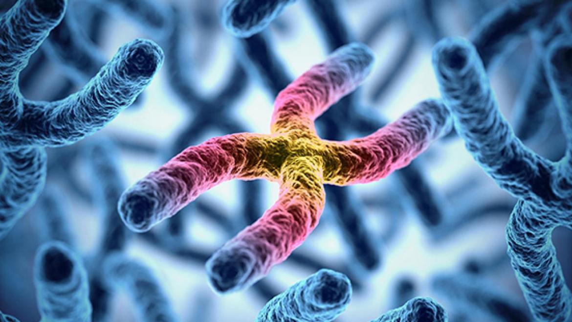 El Clínico organiza un simposio internacional sobre medioambiente y cáncer de mama Hygeía