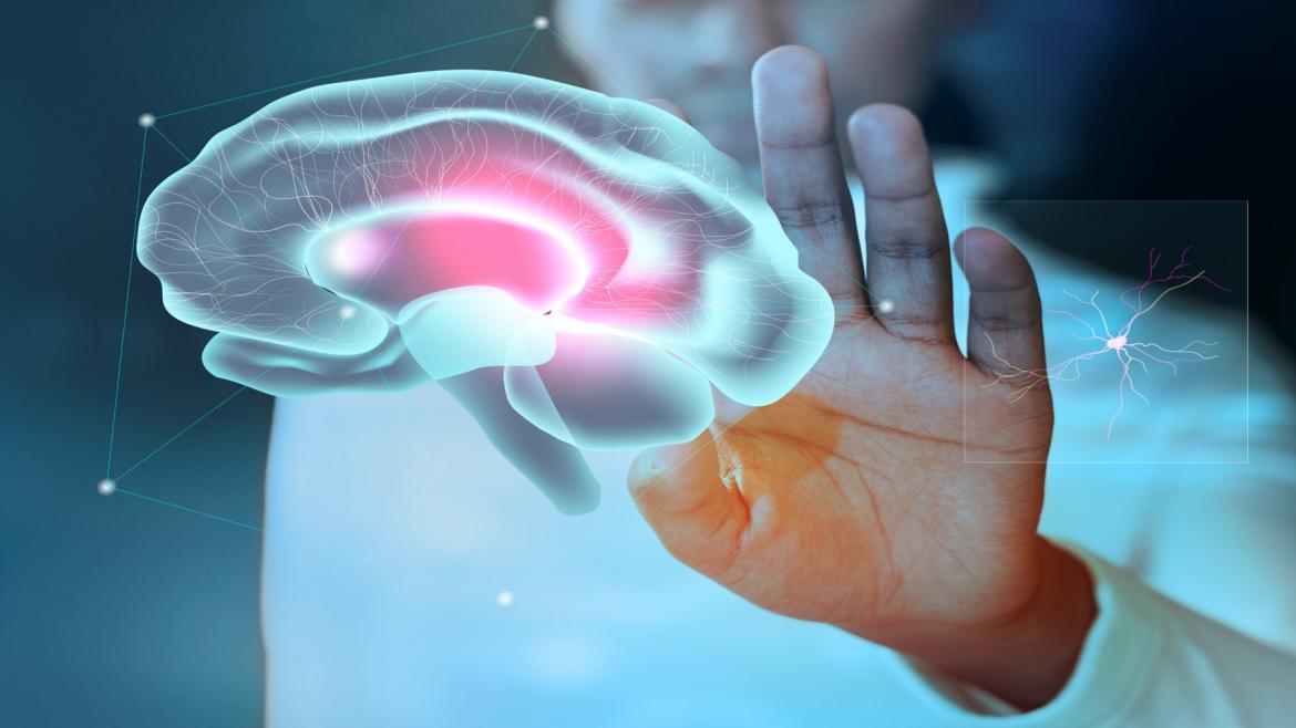 Acreditación Servicio Neurología Hospital Universitario Infanta Leonor