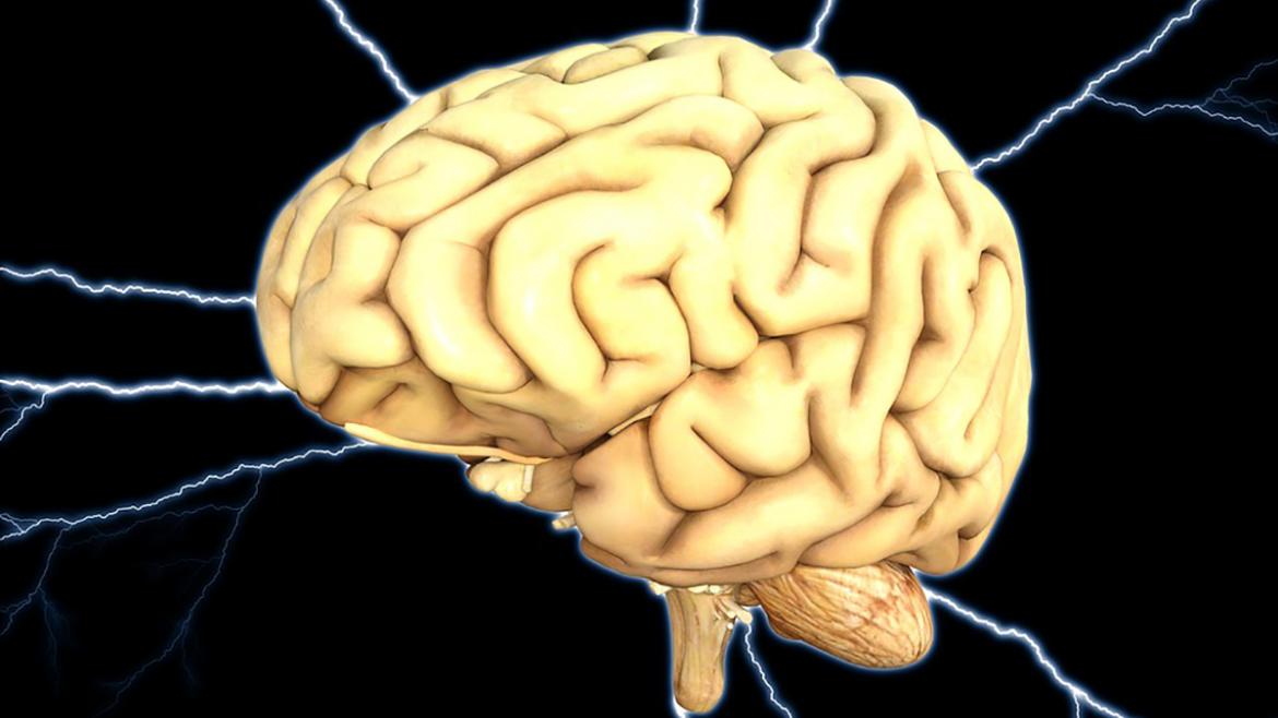 IMAGEN CEREBRO PIXABAY