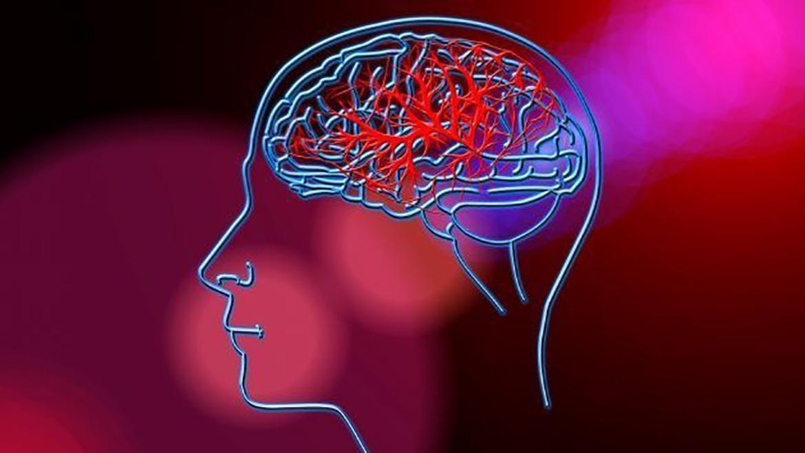 Imagen icónica de un cerebro