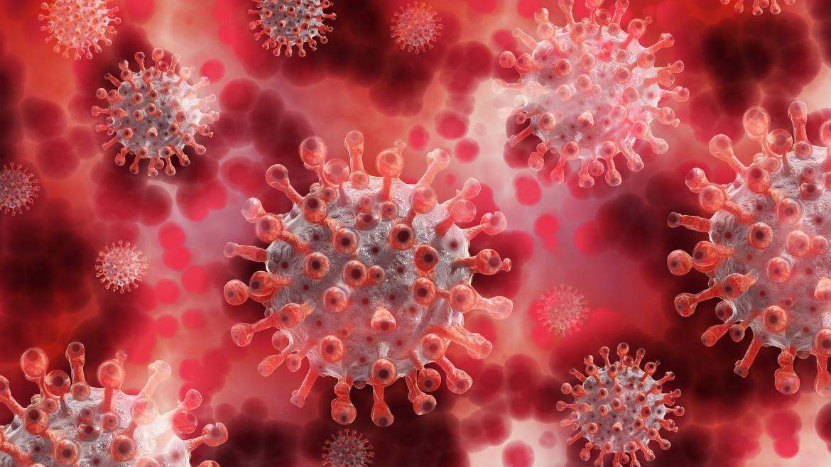 Investigación liderada por el Hospital Universitario Infanta Leonor Coronavirus Plasma
