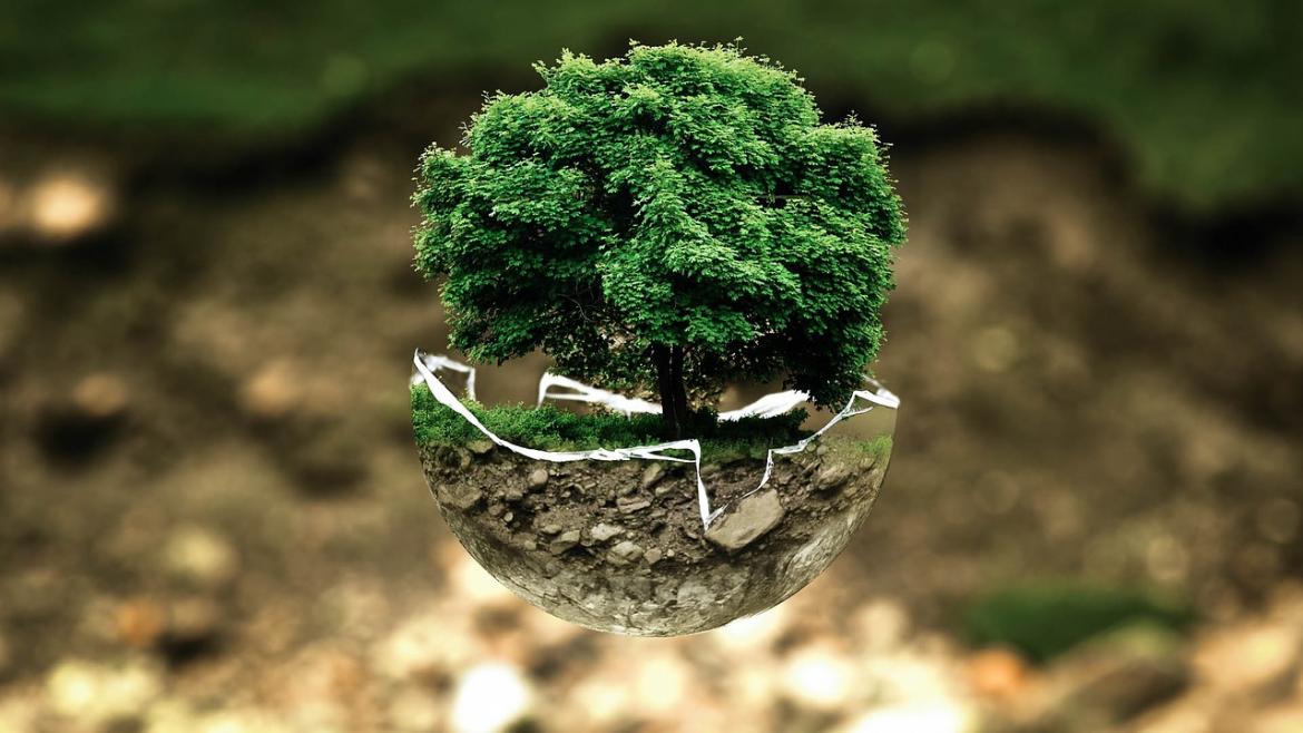 Imagen decorativa