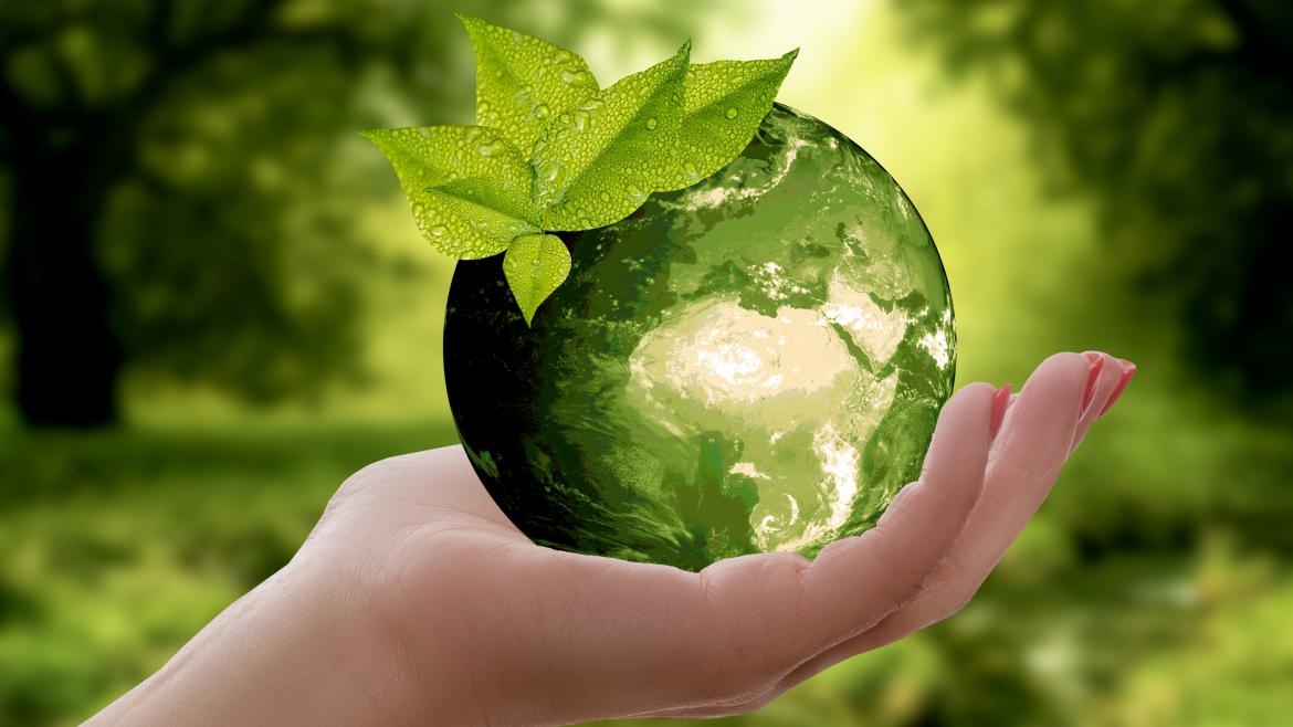 Mano en bola del mundo verde y hojas y árboles del fondo