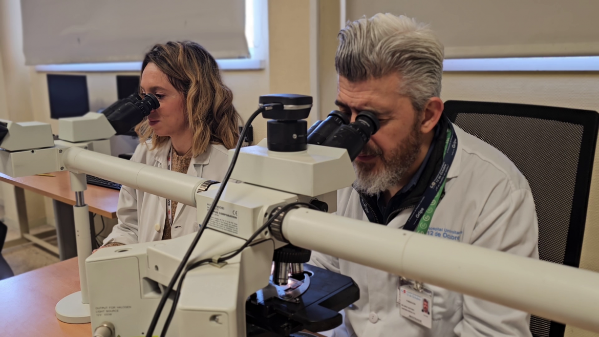 Los investigadores Berta Segura y Ricardo Gargini un hombre y una mujer con batas blancas observando por unos microscopios