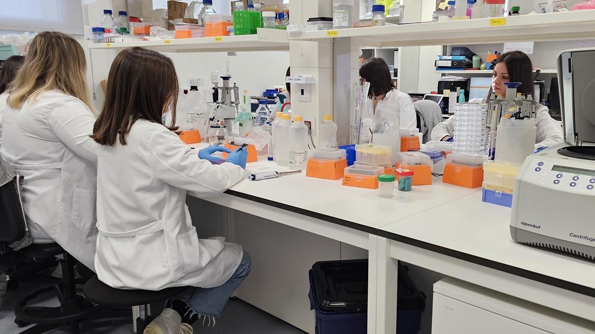 Laboratorio de Investigación Oncología Médica