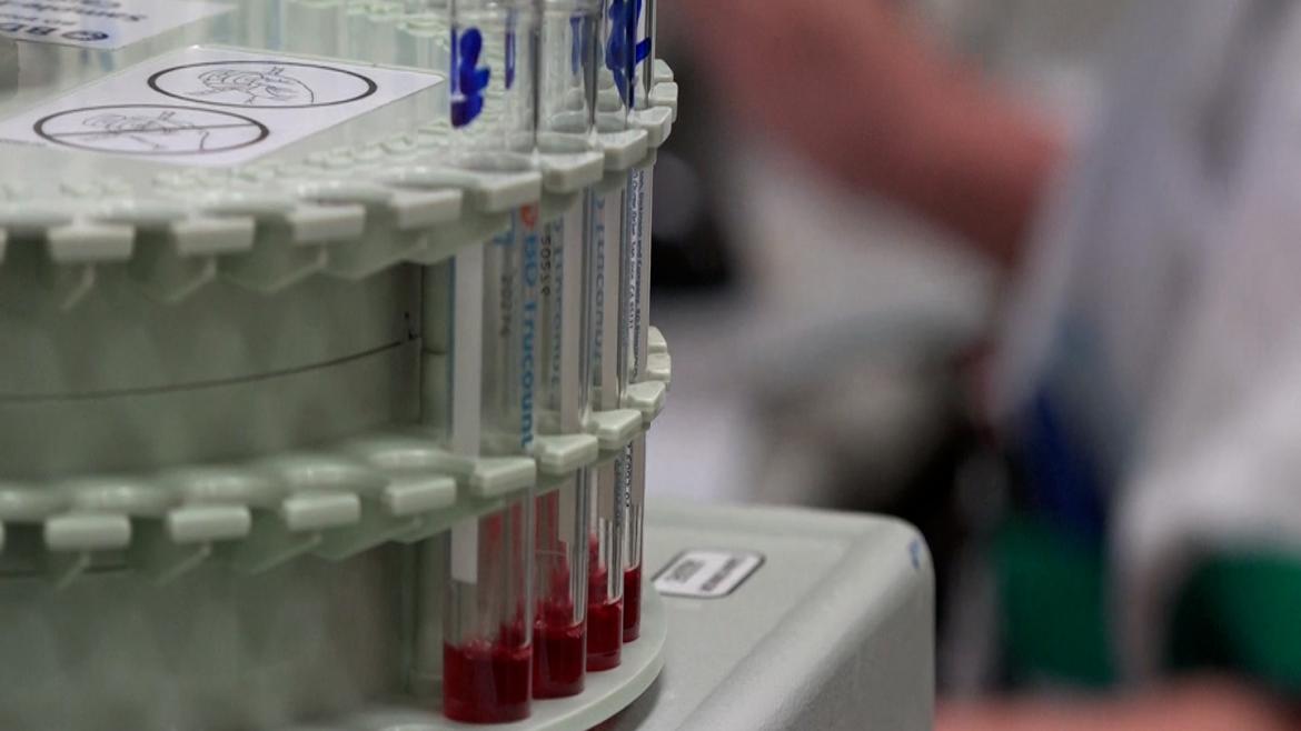 Tubos de sangre en un laboratorio
