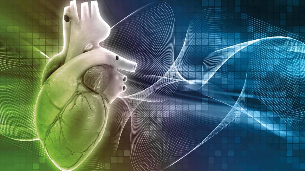 Portada programa XXXI Curso electrocardiografía avanzado