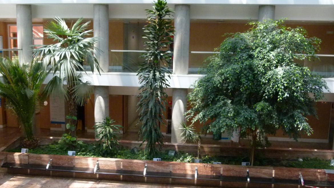 Jardinera Central