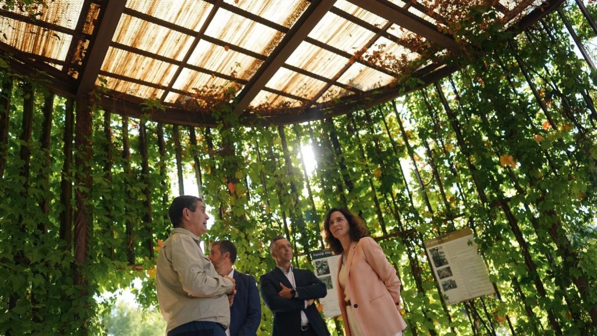 La Comunidad de Madrid agota en cuatro meses los 2,5 millones de las ayudas para la incorporación de jóvenes agricultores y ganaderos La presidenta Isabel Díaz Ayuso