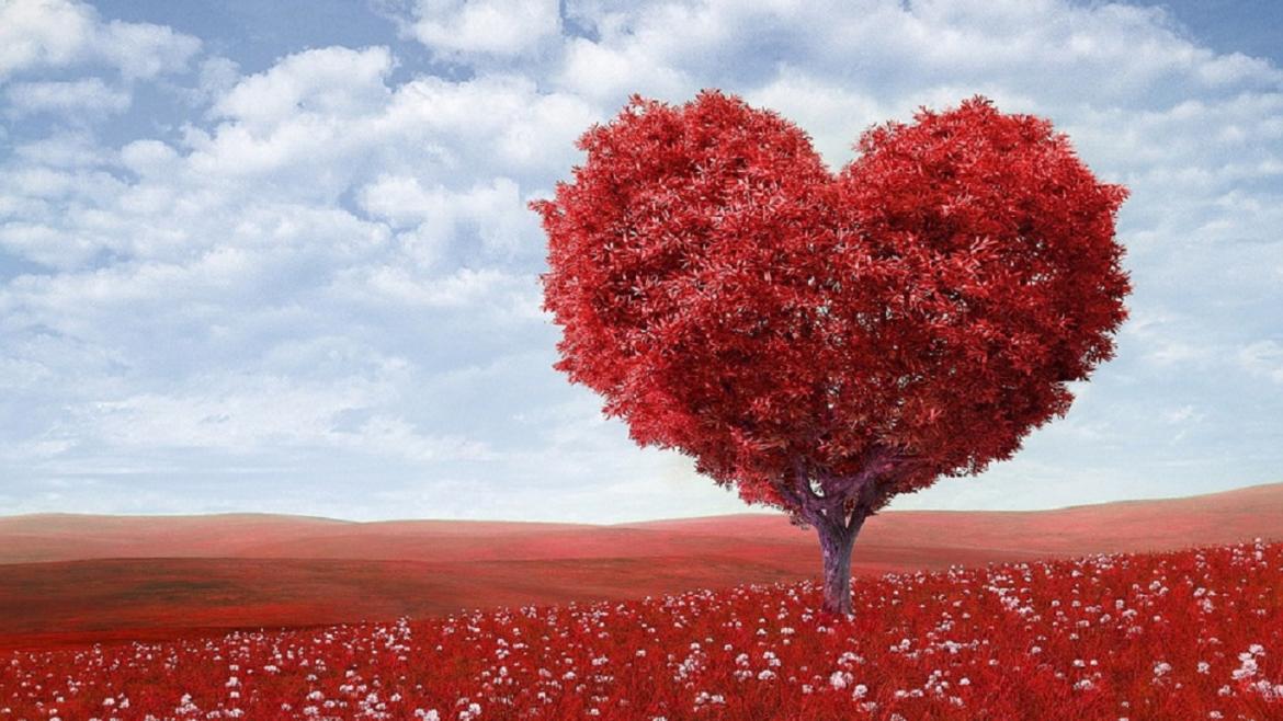 Campo de corazones