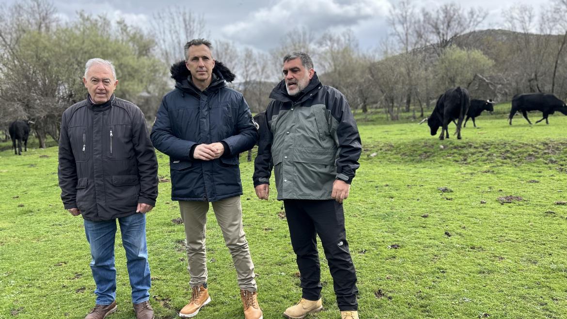 La Comunidad de Madrid estudia mejorar la respuesta ante futuros brotes de Enfermedad Hemorrágica Epizoótica en ganado El consejero Carlos Novillo en una explotación en Rascafría