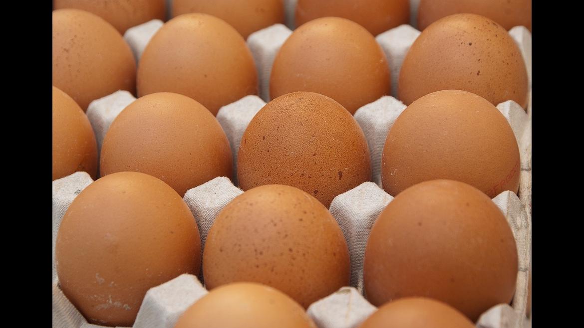 Huevos en una huevera